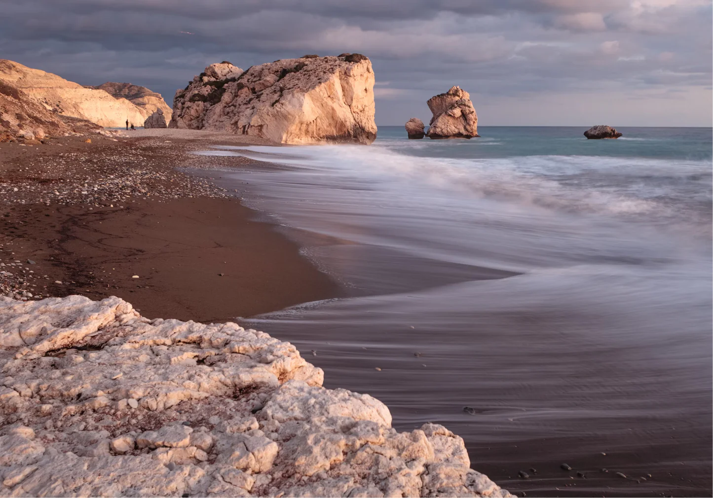 Organic Mighty Aphrodite Tea - Image 7