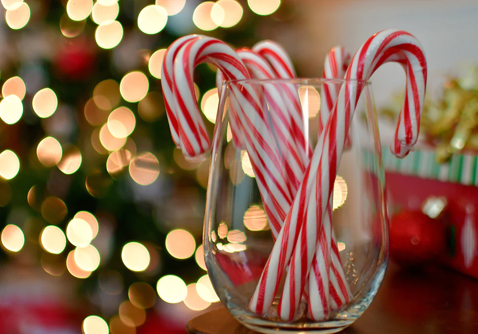 Organic Candy Cane Matcha Tea Printed Tin - Image 6