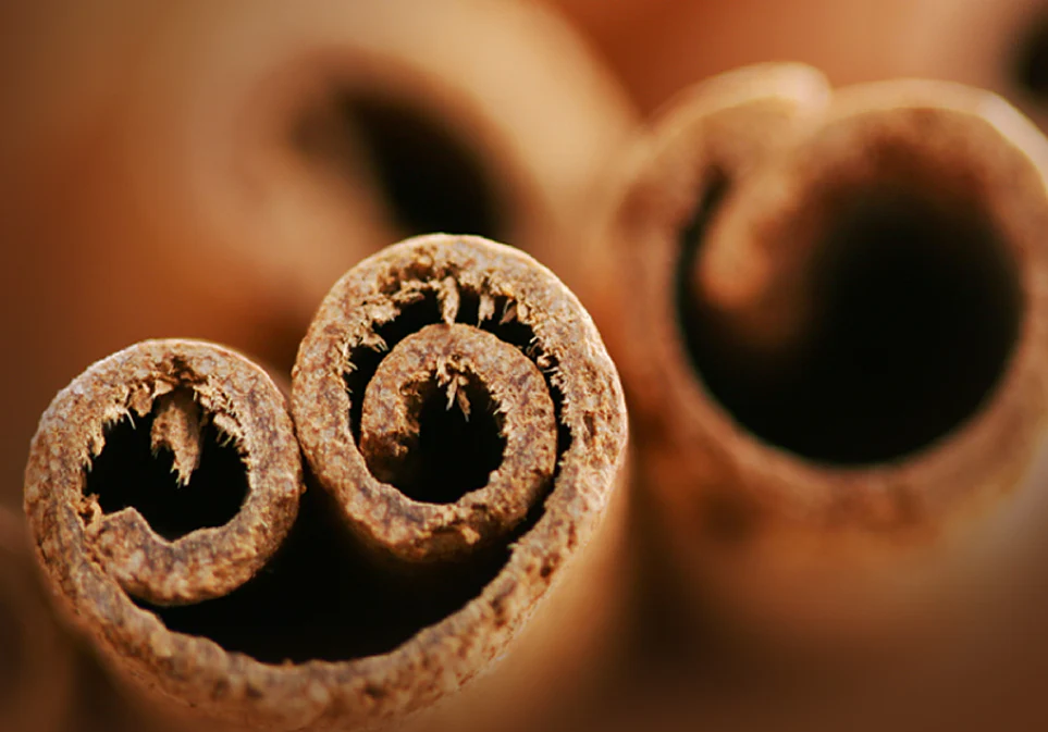 Organic Cinnamon Rooibos Chai Tea Pack of 12 Sachets - Image 4