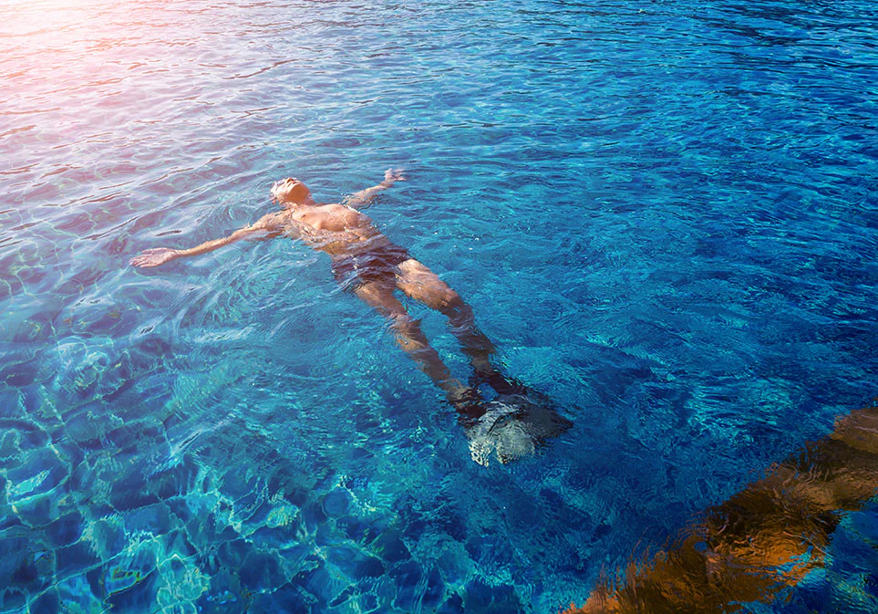 Organic David's Detox Tea - Image 7