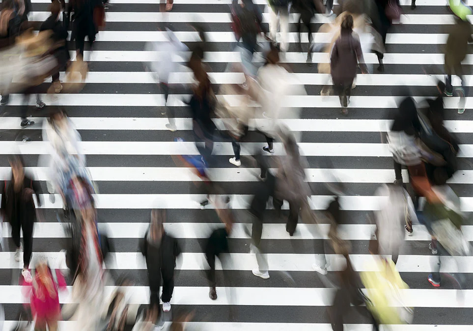 Organic Matcha Matsu Tea Limited Edition Tin - Image 5